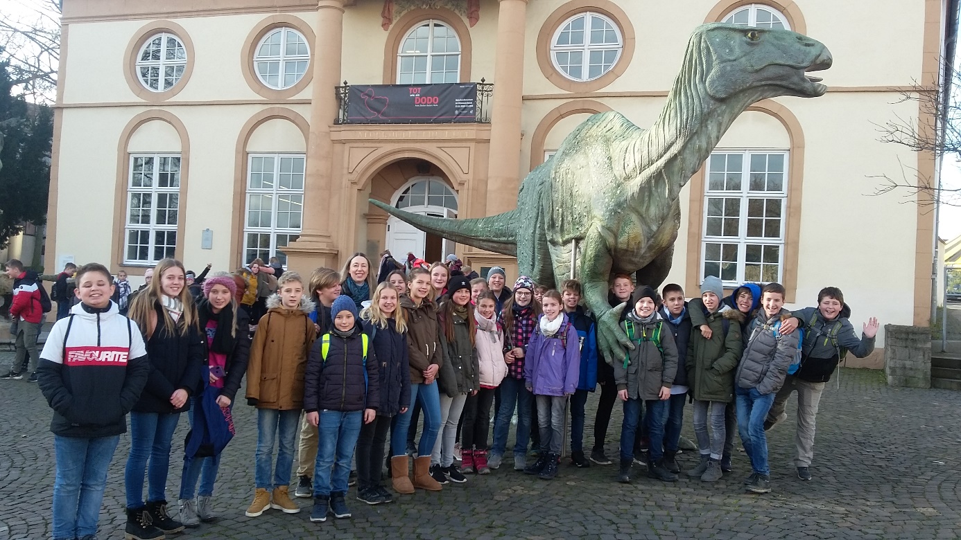 Naturkundemuseum und Weihnachtsmarkt